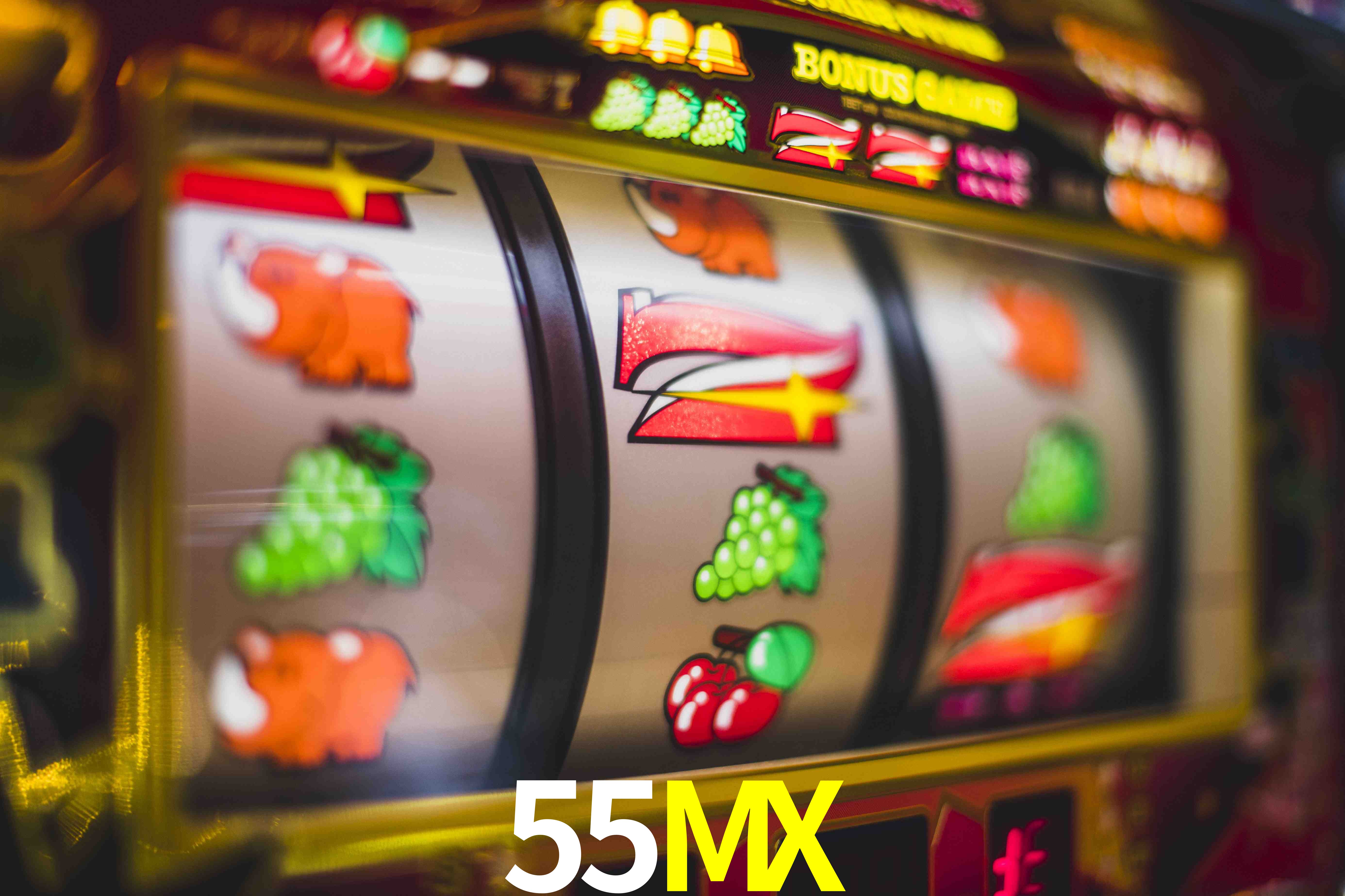 Níveis VIP 55MX